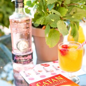 gin puerto de indias