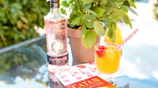 gin puerto de indias